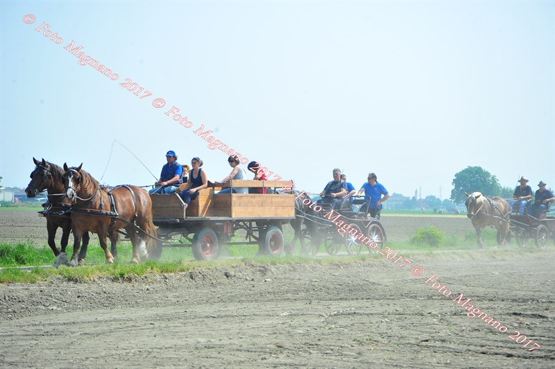 DSC_0814.JPG